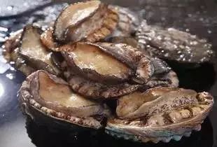 动漫影视视频了