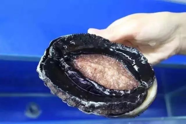 今日校园吃瓜 吃瓜但也偶见情绪化言论