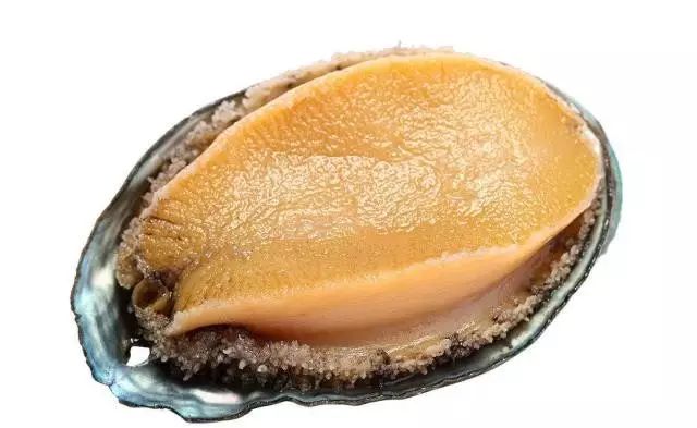 无限臀山中文字幕 在线观看