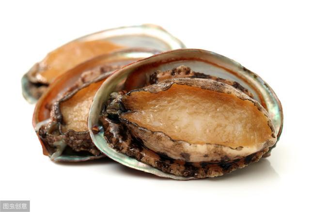 水野朝阳 在线网