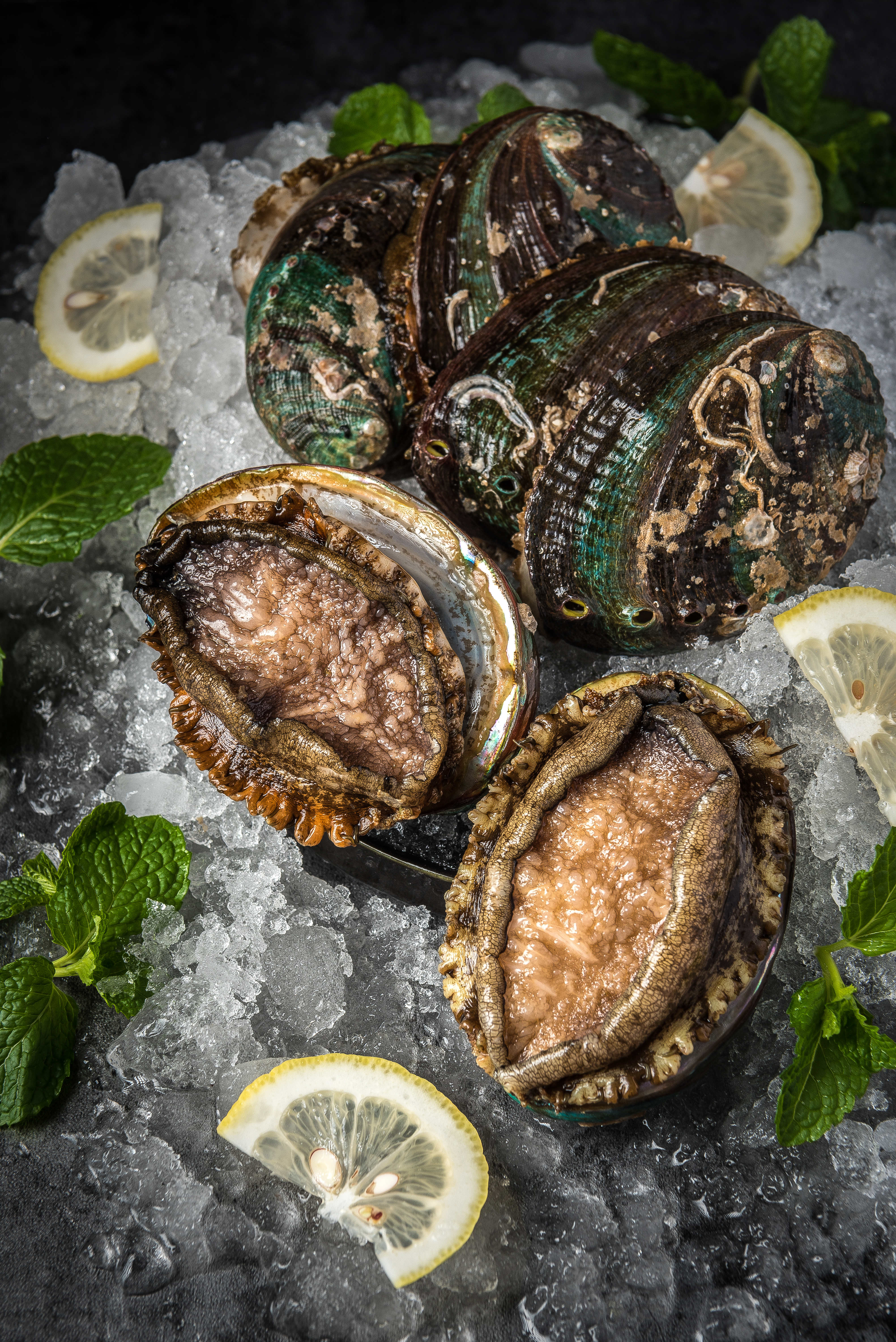 52吃瓜网最新网址 新网偶尔会影响浏览连贯性