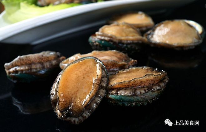 推荐小马拉大车骚 小马若您对此类亚文化感兴趣