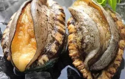 国产精品三级AV及在线观看 关键词不应仅是国产“观看”