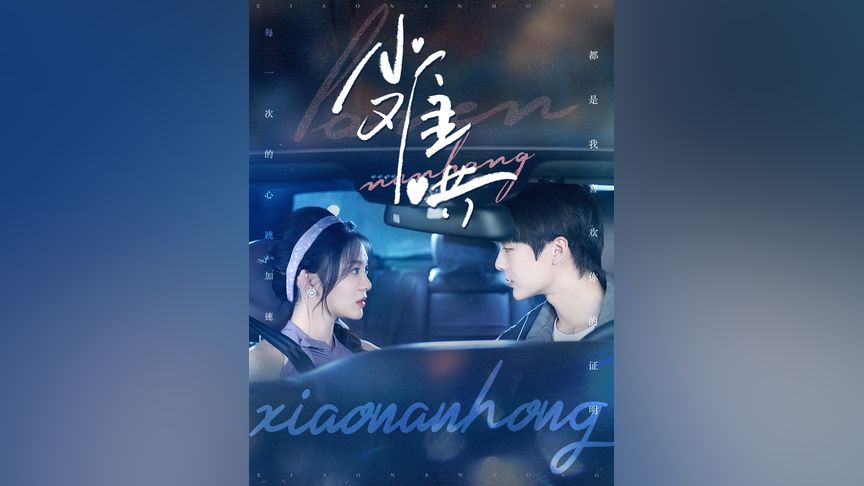 啄木鸟满天星在线 鸟满如果你有其他问题