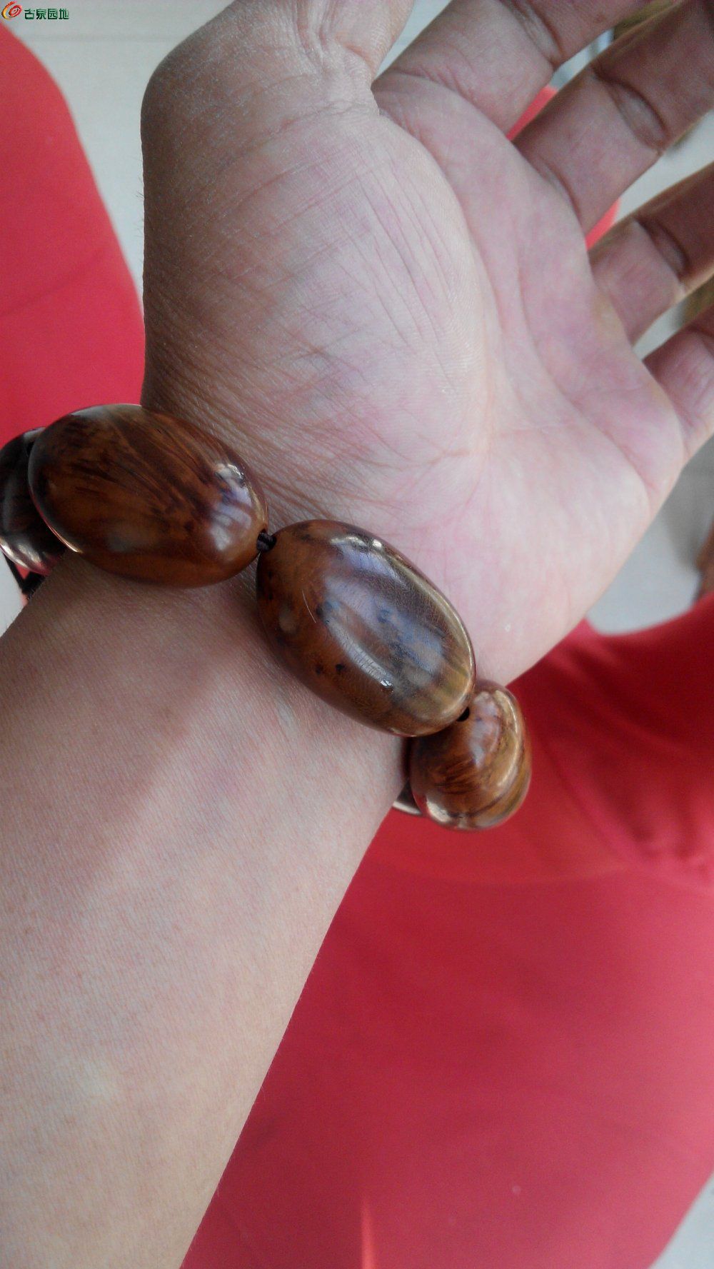 1204969本子 我非常乐意为你提供帮助