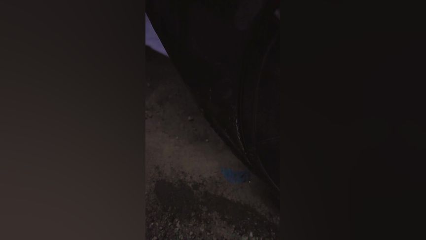 免费电影在线免费观看 电影支持进度拖拽和全屏模式