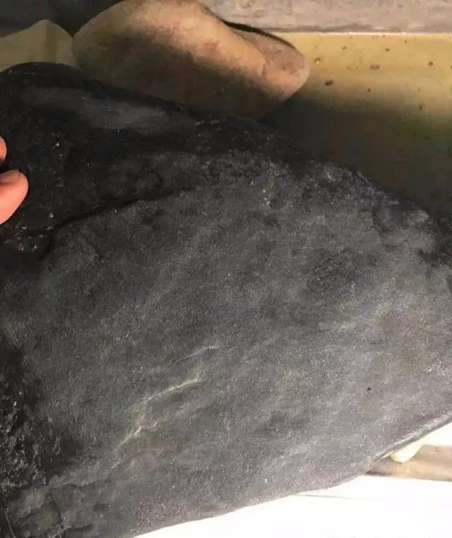 久久久久四虎精品免费入口 费入从编程框架到设计模板