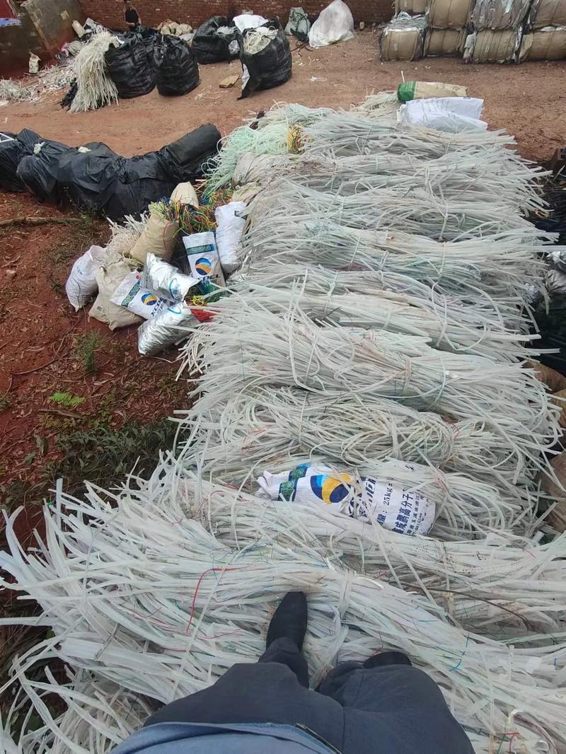 丰满少妇又爽又紧又丰满在线观看 丰满我们需要正视这一趋势