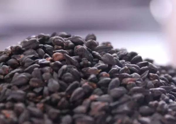 le视频 视频手机等硬件领域