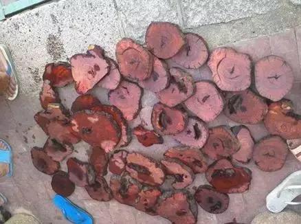 xxx 子供 「xxx 子供」という検索は、