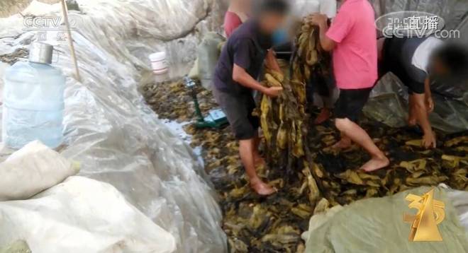 17c吃瓜黑料不打烊