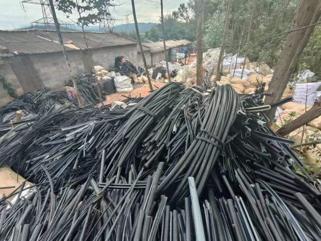 ac动漫 动漫追番（跟着更新看动画）