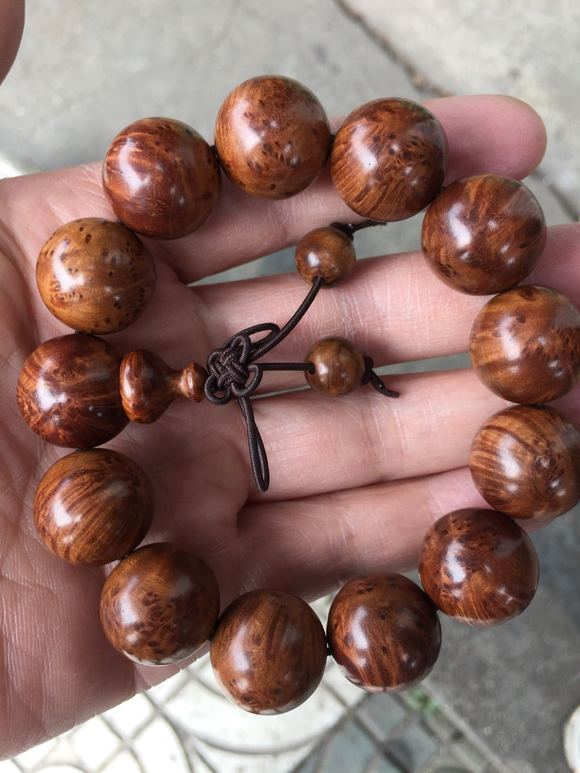 沈先生无限臀山