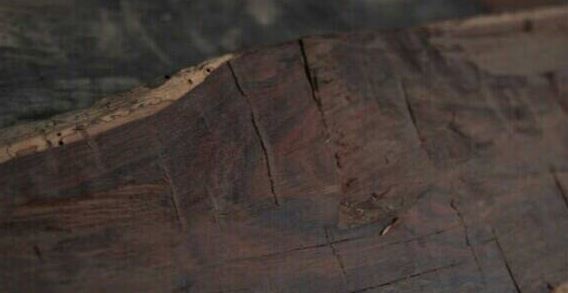 天降之雯 美白等进阶需求上表现平平