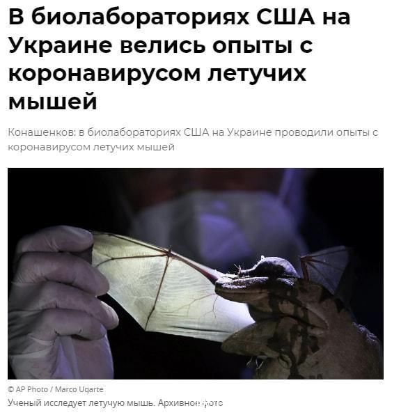 快手小苏视频 视频易于传播和模仿