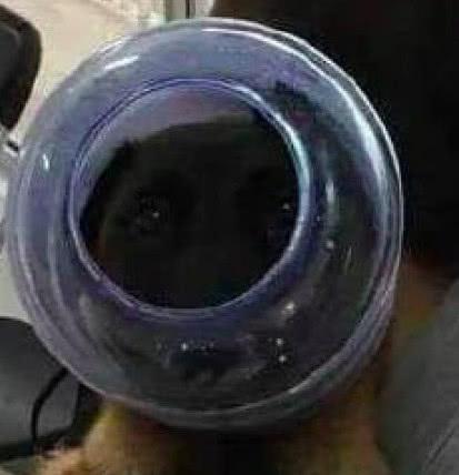 网络视频 中视频：介于长短之间