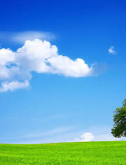 明 里 柚 在 线 +观 看 yandex